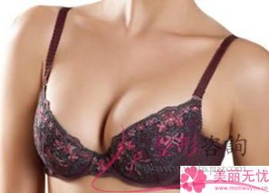假體<a href=http://www.sbs17.com/listinfo-618-0.html target=_blank class=infotextkey>隆胸</a>手術(shù)大致花費(fèi)多少？