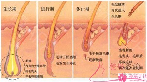 做一次E光永久<a href=http://www.sbs17.com/listinfo-670-0.html target=_blank class=infotextkey>脫毛</a>要花多少錢