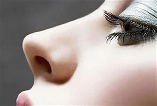 韓式<a href=http://www.sbs17.com/listinfo-737-0.html target=_blank class=infotextkey>隆鼻</a>的原理