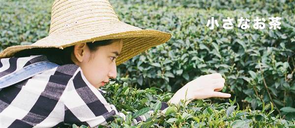 小<a href=http://www.sbs17.com/listinfo-699-0.html target=_blank class=infotextkey>耳再造</a>術(shù)，放大你的美麗！