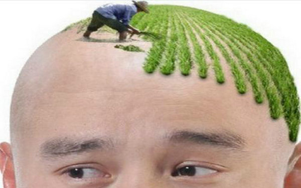 種植頭發(fā)是怎么種的？