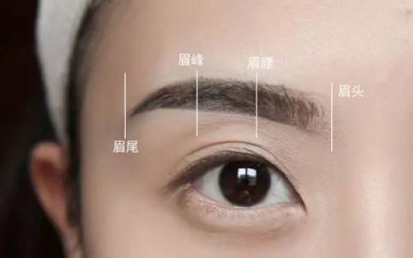 切開法重瞼術(shù)的手術(shù)要點(diǎn)和效果