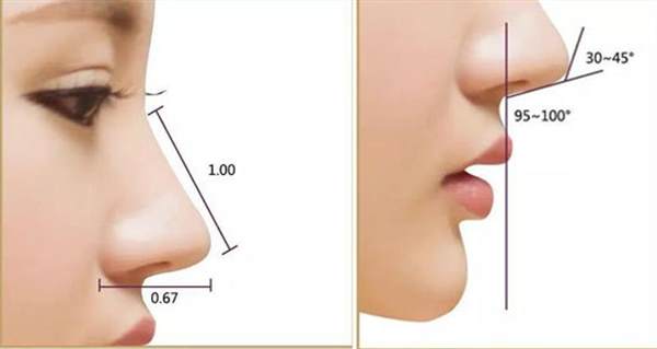 自體脂肪<a href=http://www.sbs17.com/listinfo-737-0.html target=_blank class=infotextkey>隆鼻</a>技術(shù)怎么樣